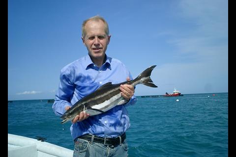 Bjørn Myrseth at the Marine Farms Vietnam cobia farm